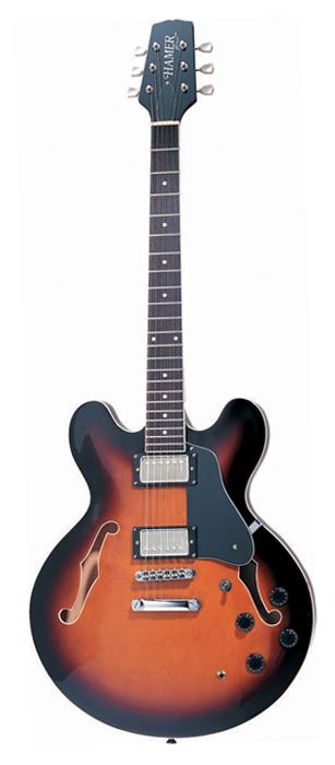 Електрогітари / Гітара електро HAMER ECO2TK