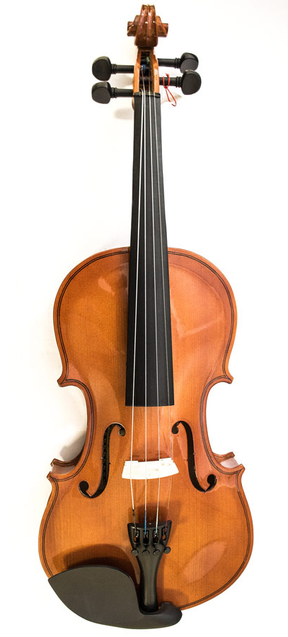 Скрипки, електроскрипки / Скрипка MAXTONE TV4/4A-LL