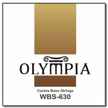 Струны / PARKSONS WBS630