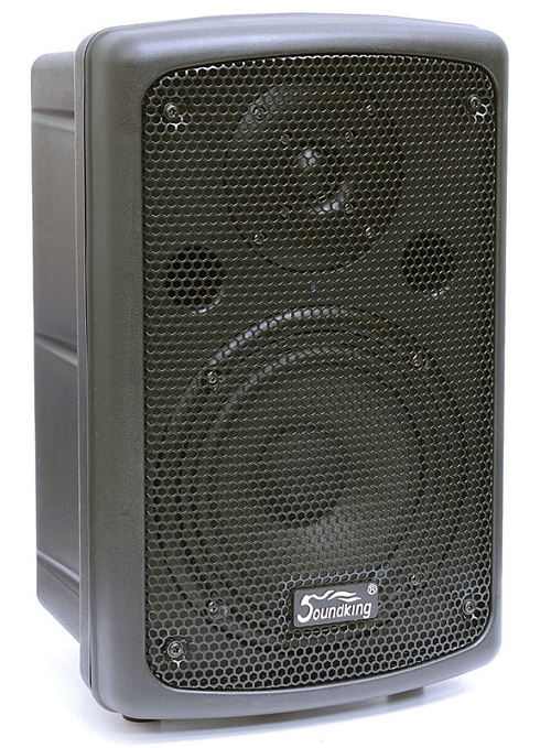 Активные / SOUNDKING SKFP208A