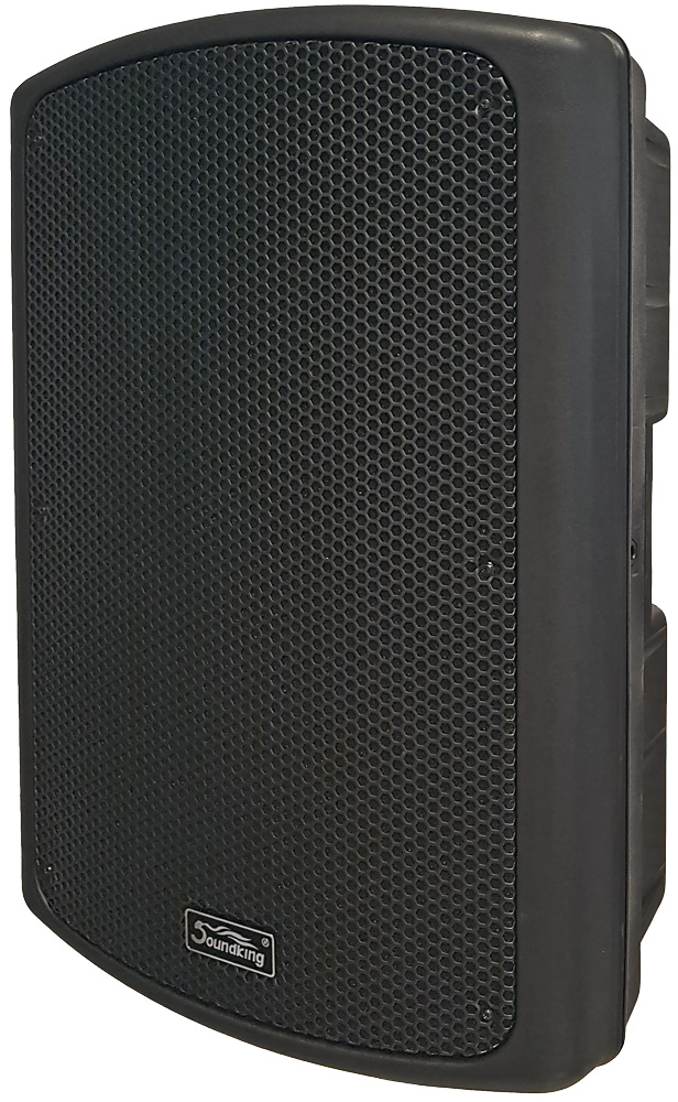Активные / SOUNDKING SOUND KING SKKB 15А