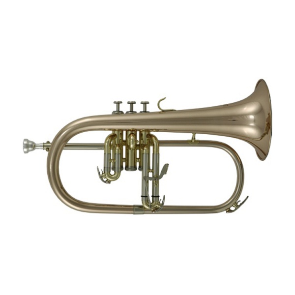 Тубы, эуфониумы, флюгергорны / Флюгельгорн ROY BENSON ROYBENSON FH302G