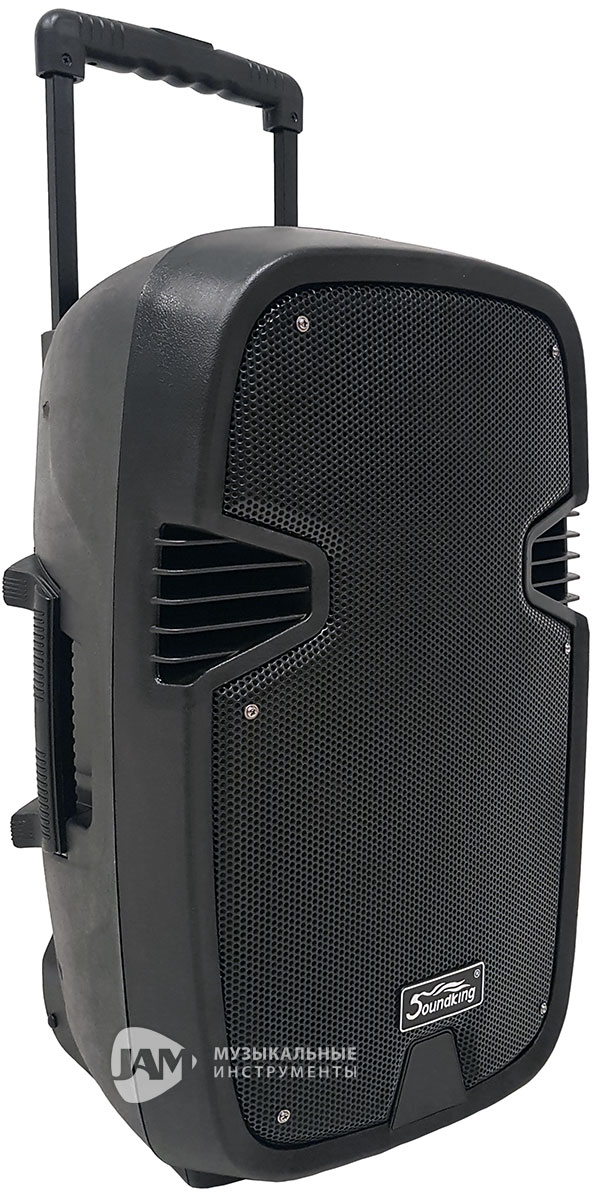 Портативні / Акустична система портативна SOUNDKING SKLS331