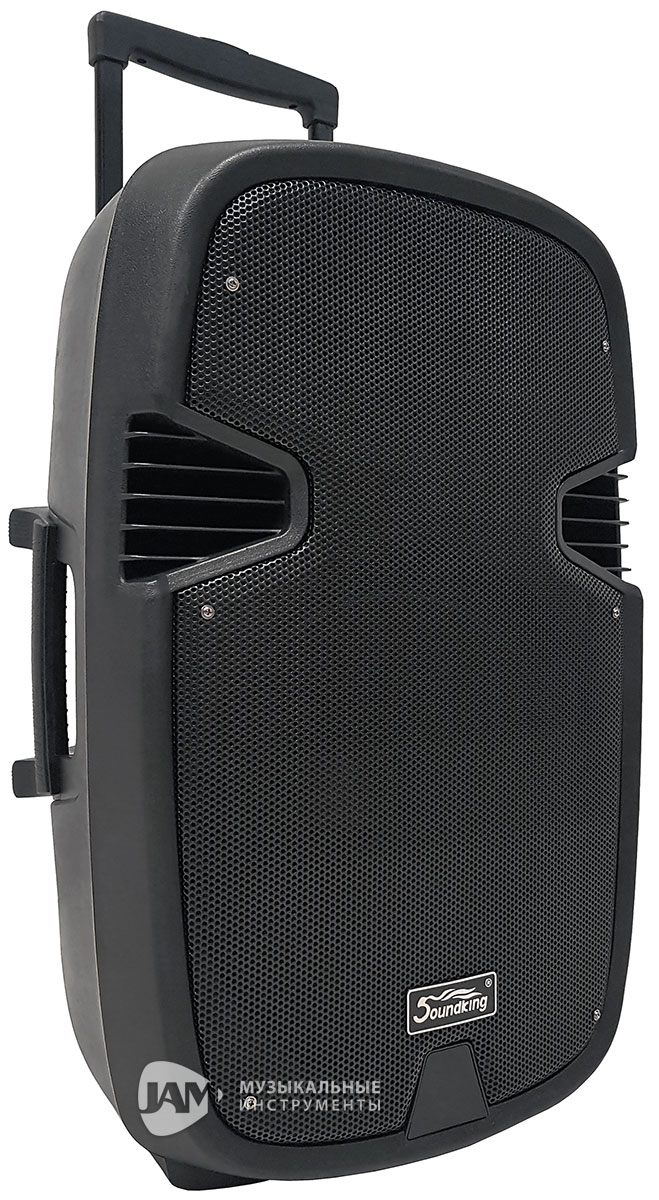 Активные / SOUNDKING LS911