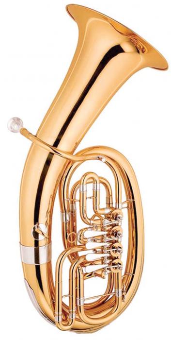 Тубы, эуфониумы, флюгергорны / Баритон MAXTONE TEC53L2