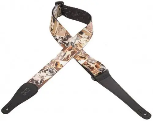 Ремни / LEVY’S MPD2079