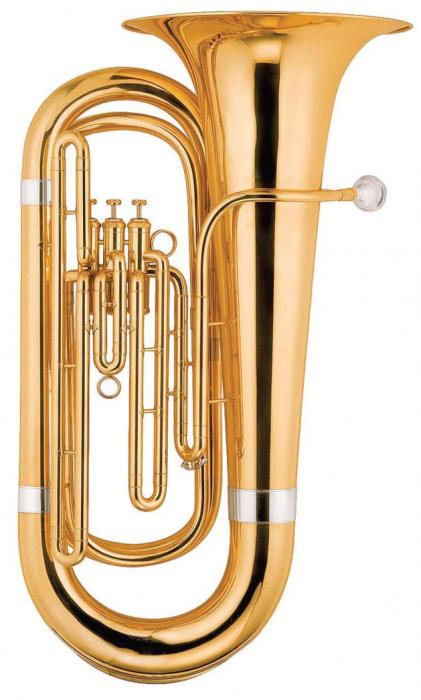 Тубы, эуфониумы, флюгергорны / Туба MAXTONE TTC53L1 (TTC99L)