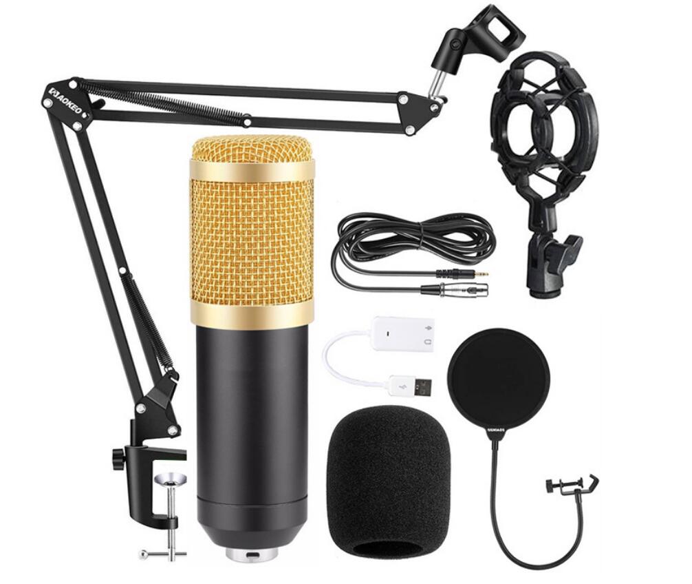 Студийные / HL AUDIO BM-800