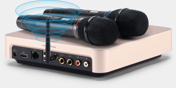 Караоке / Караоке EVOLUTION EVOBOX Plus