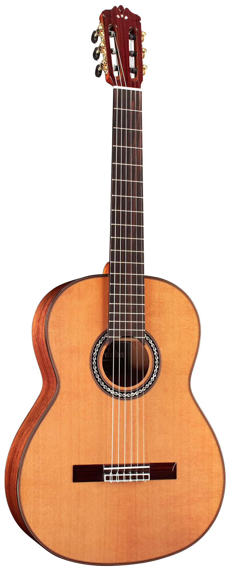 Классические гитары / Гитара классическая CORDOBA C9 CD W/C