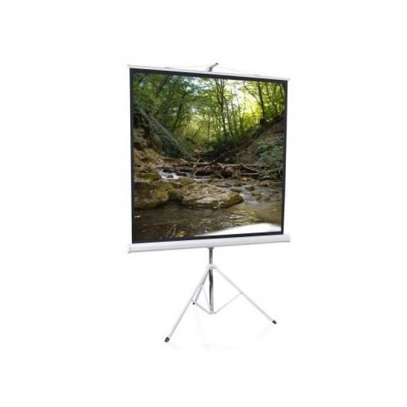 Экраны / Экран EliteScreens T113NWS1